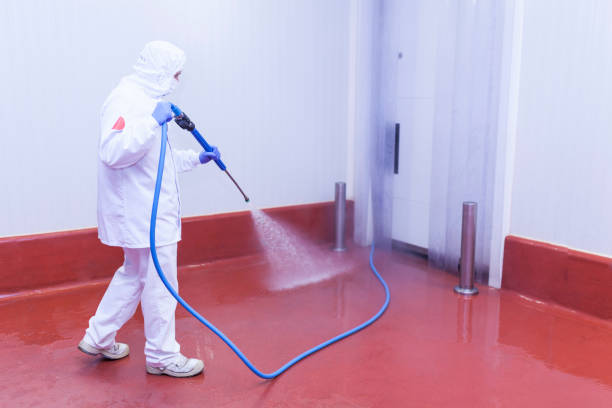 Best Warehouse Cleaning  in Gillette, NJ