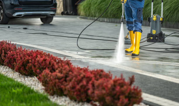 Best Building Exterior Washing  in Gillette, NJ